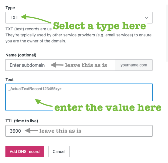 Sample of a DNS text record, showing type, name, text, and TTL